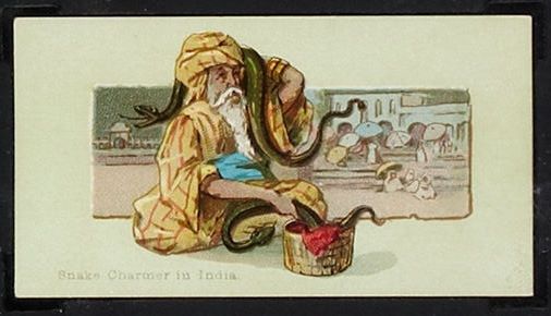 Snake Charmer In India